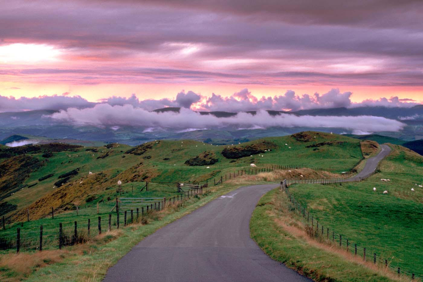 Wales, Powys, near Machynlleth,Wales, Powys, near, Machynlleth, storm cloud, sunset, winding road